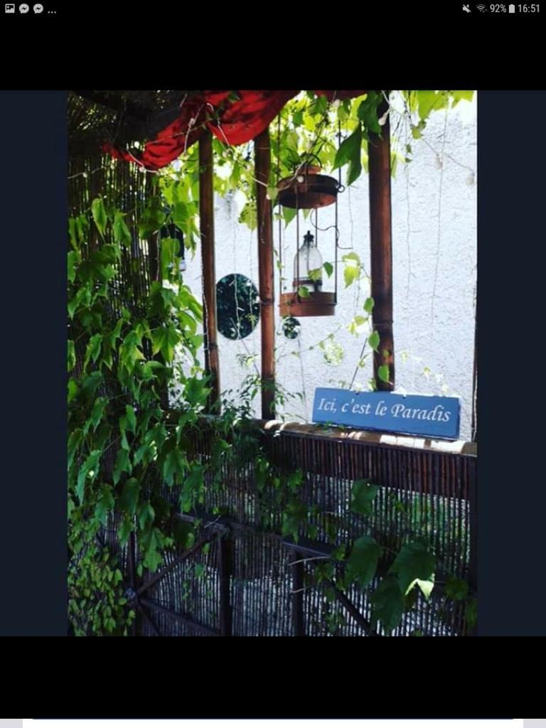 Le Mazet Des Beaujots Hotel Monteux Bagian luar foto